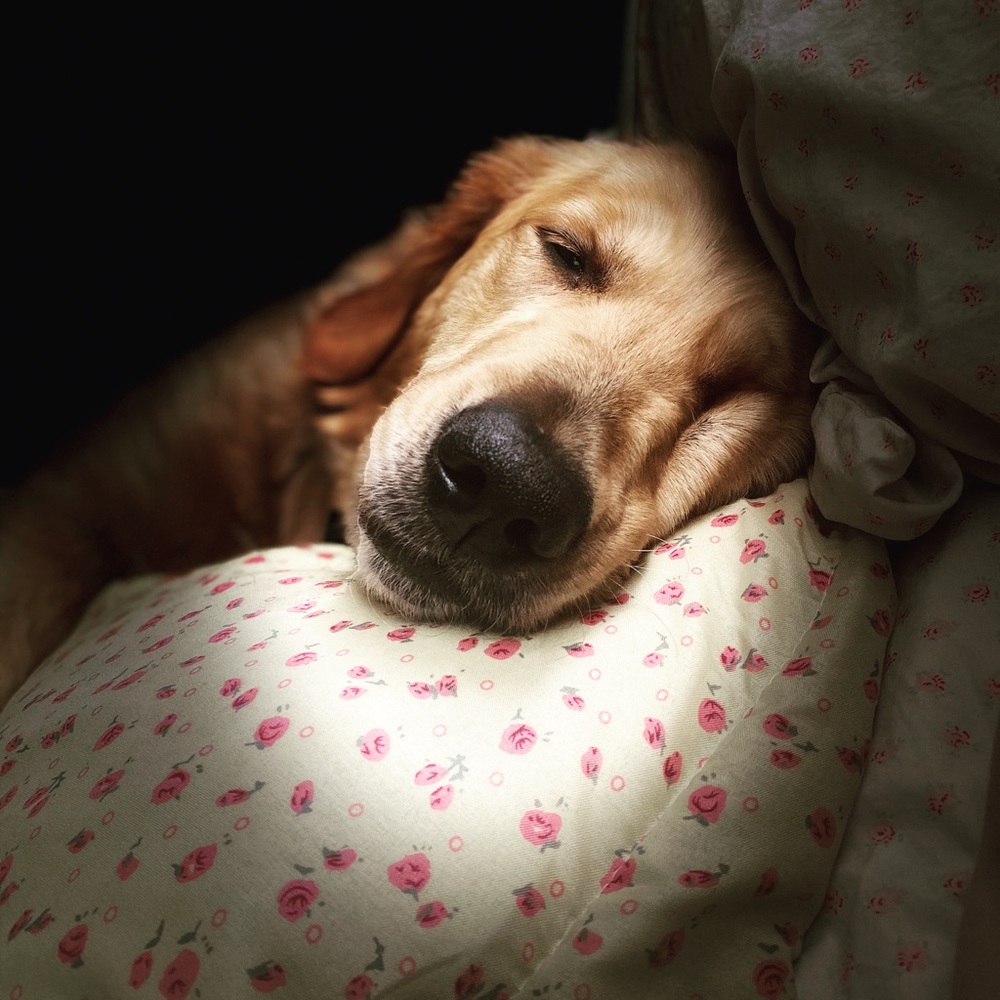 Meet your Posher, Kaitlyn